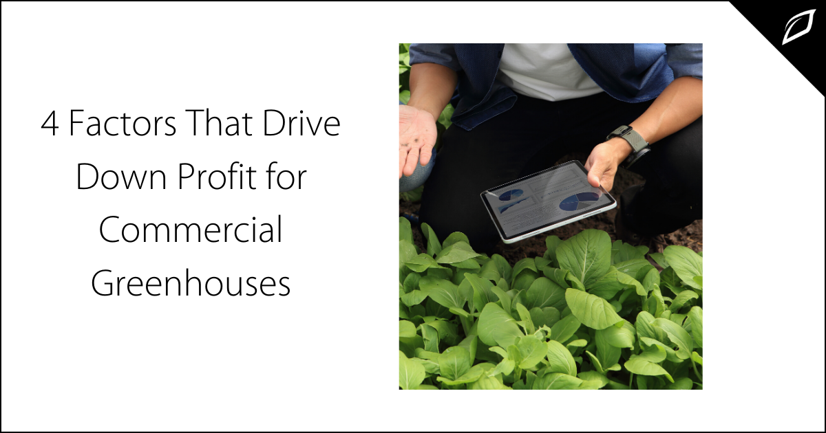 4 Factors That Drive Down Profit for Commercial Greenhouses | Growlink
