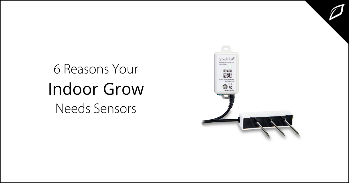 6 Reason Your Indoor Grow Needs Sensors