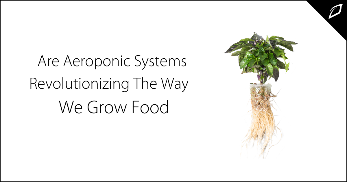 Aeroponic Systems Are Revolutionizing The Way We Grow Food | Growlink