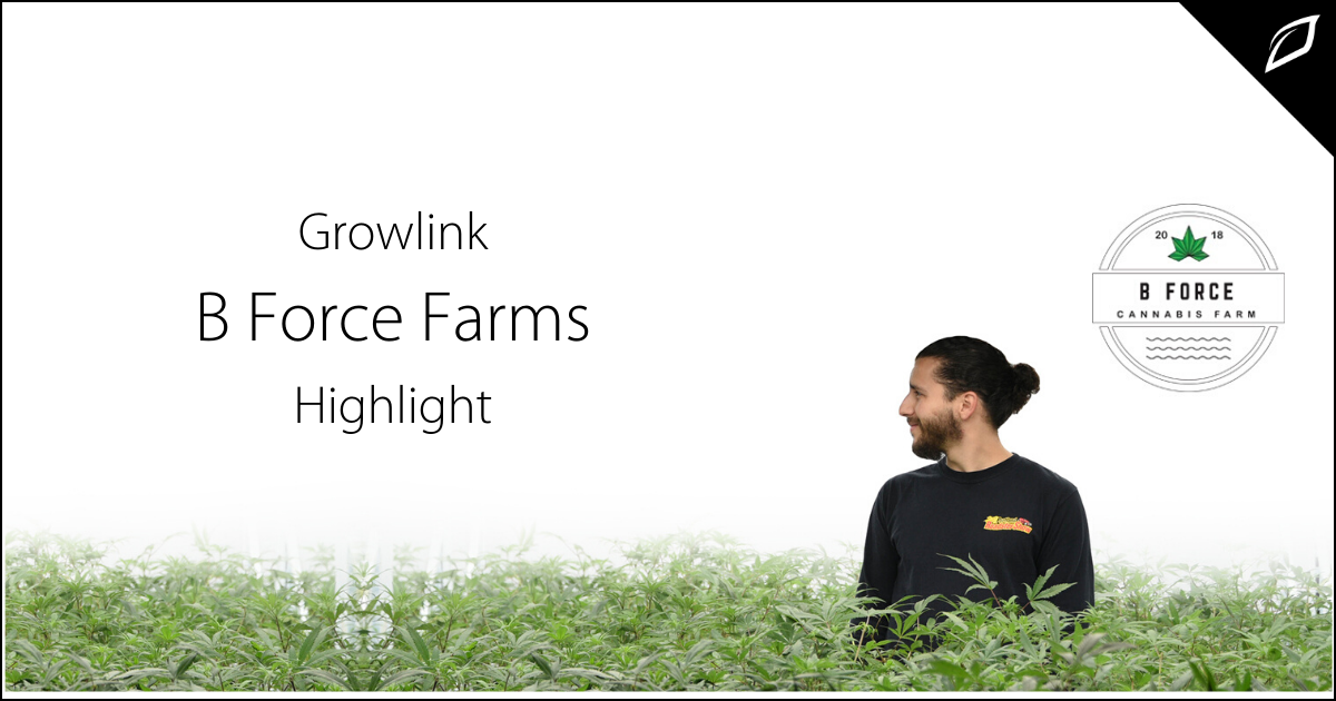 B Force Farm Highlight
