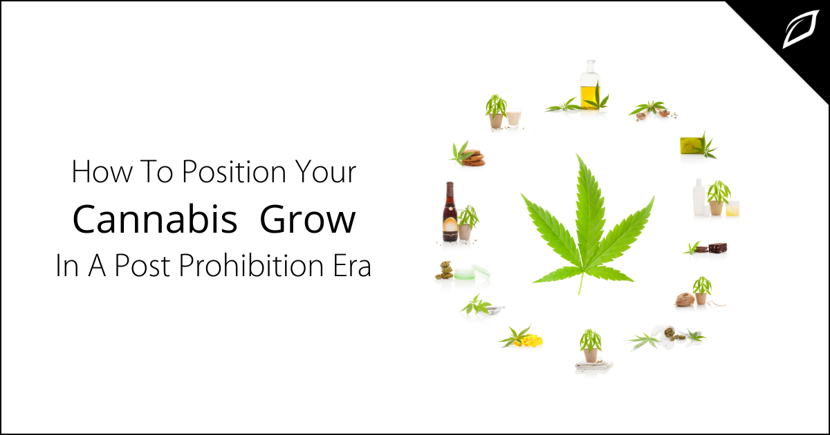 How To Position Your Cannabis Grow In Post-Prohibition Era