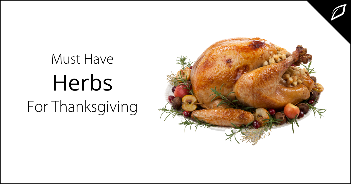 Must-Have Herbs For Thanksgiving
