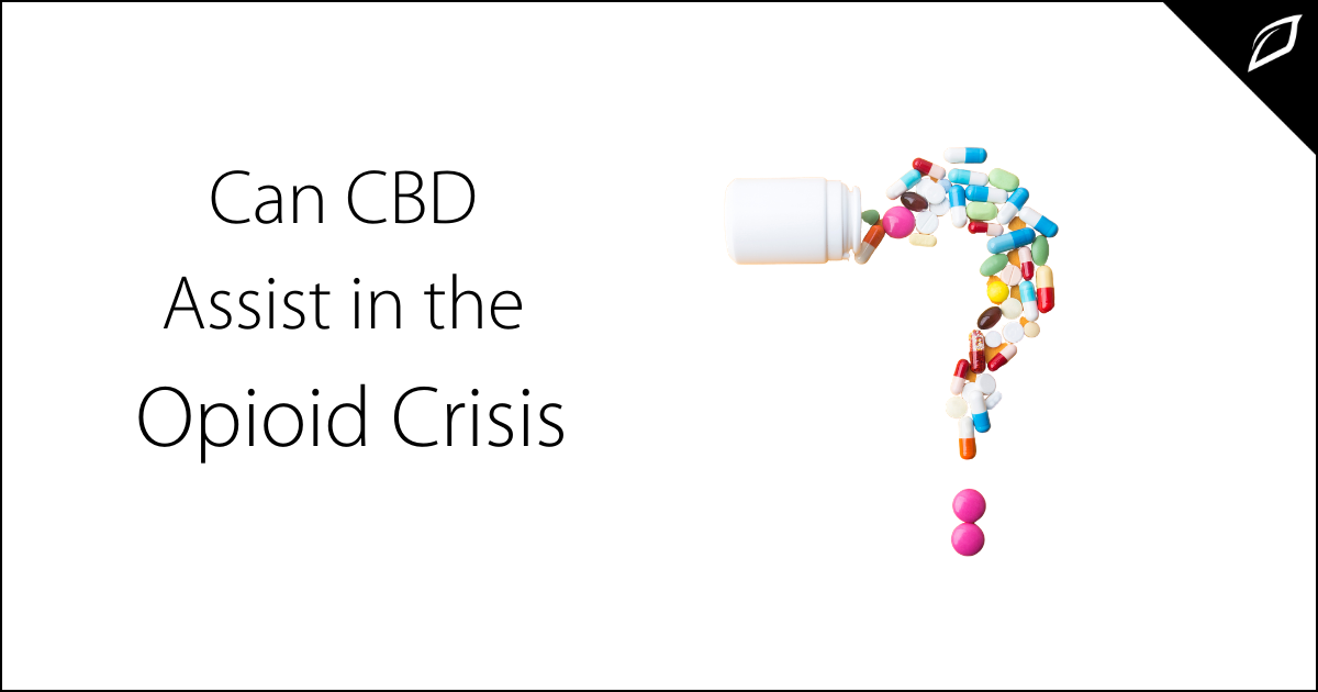 How CBD Can Assist In The Opioid Crisis | Growlink