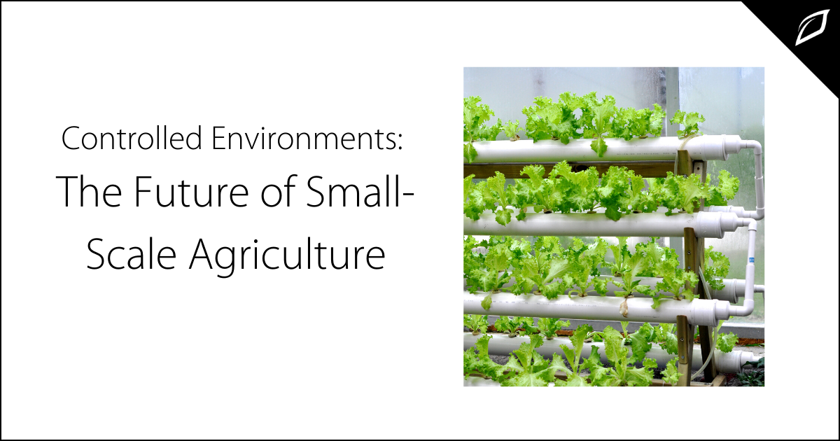 Controlled Environments: The Future of Small-Scale Agriculture