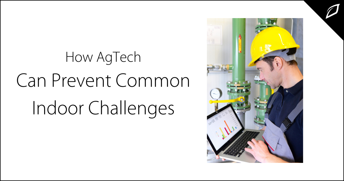 How Ag-Tech Can Prevent Common Indoor Farming Challenges | Growlink