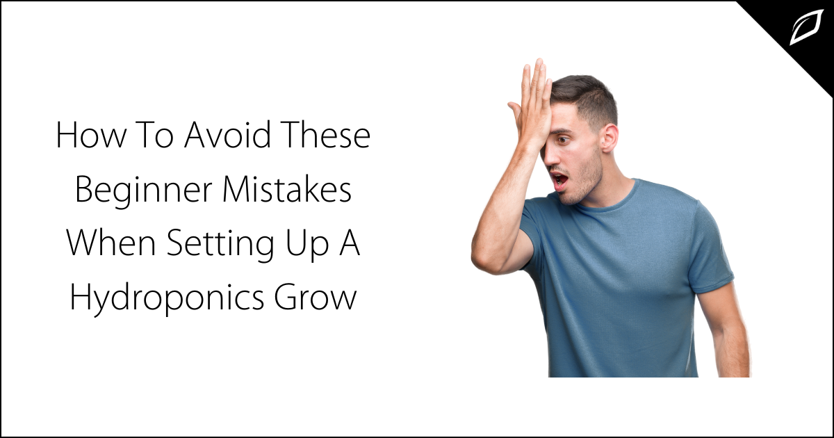 Avoid These Mistakes When Setting Up A Hydroponics Grow | Growlink