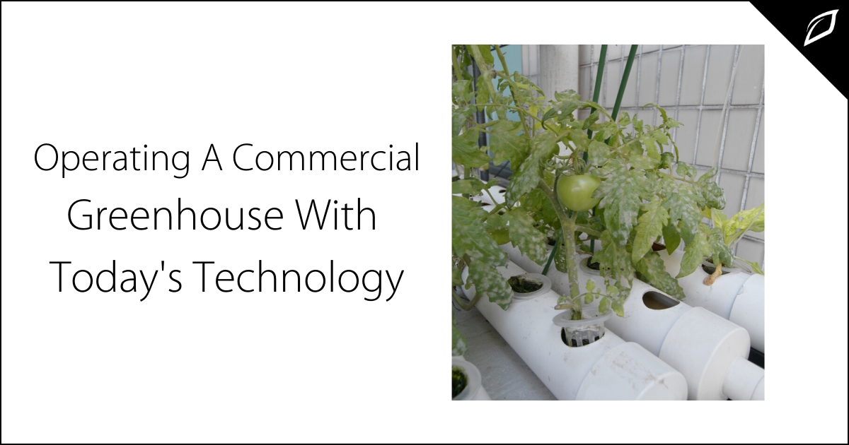 Operating a Commercial Greenhouse With Today's Tech
