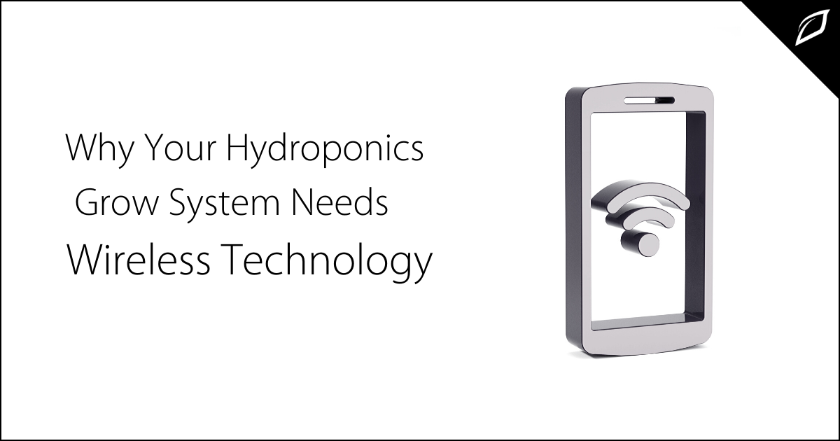 Why Your Hydroponic Grow System Needs Wireless Technology