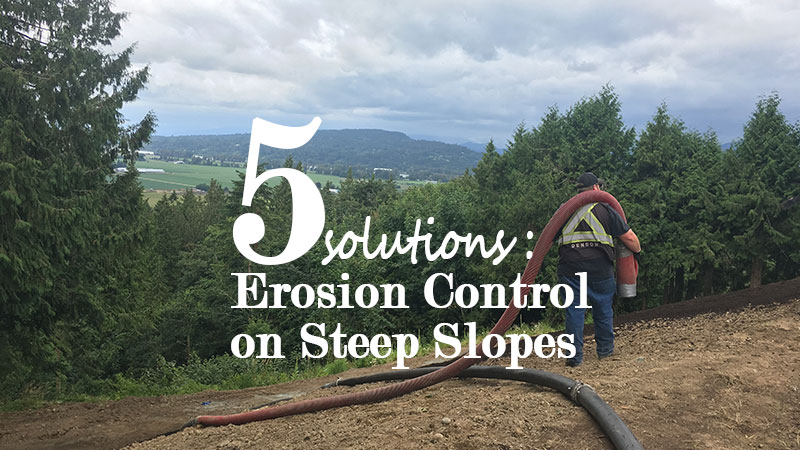 5 Steps for Erosion Control on Steep Slopes and Embankments - Denbow
