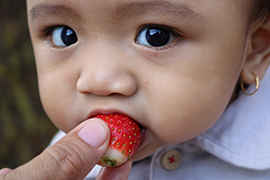 nutrition scholarship