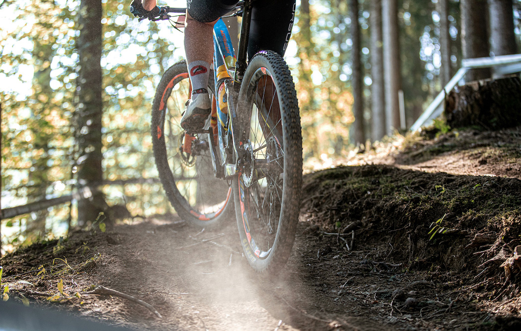 MTB-three-routes-you-can't-miss-2-ursus