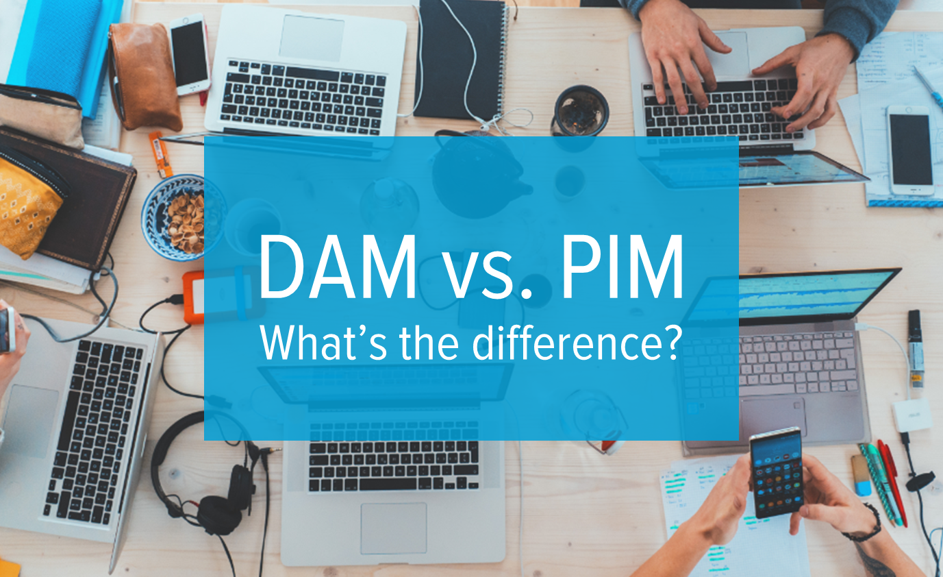 Dam Vs Pim What S The Difference