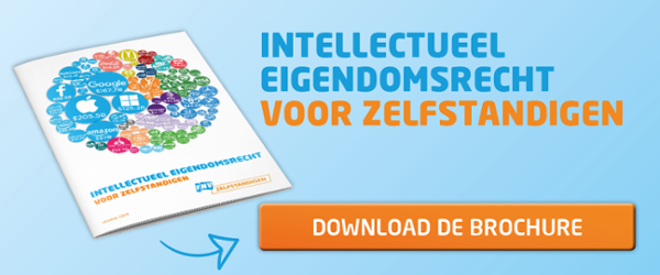 Wat Kun Je Doen Als Je Intellectueel Eigendomsrecht Is Geschonden? - Fnv Zelfstandigen - De Vakbond Voor Zzp'ers