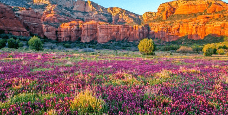 Distance From Sedona To Phoenix >> Airport Shuttle Distance From Sedona To Phoenix >> Airport Shuttle