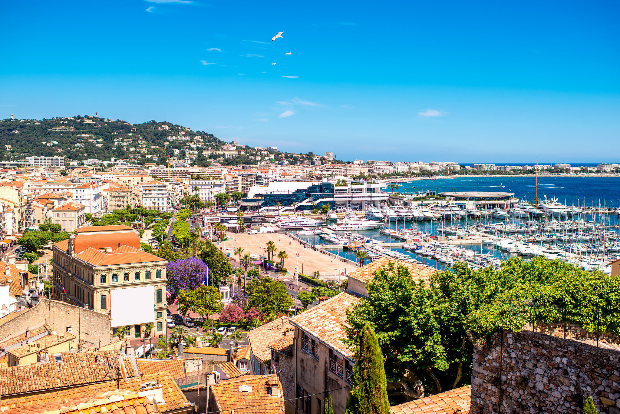 Blick-über-Cannes