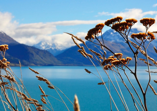 Neuseeland: Auckland oder Nelson, lebendig oder ruhig?
