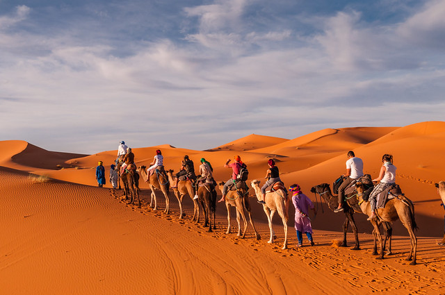Die schönsten Wüstenreisen