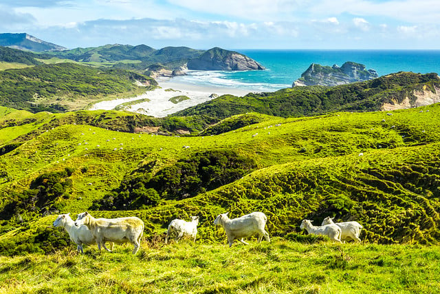Work and Travel Möglichkeiten in Neuseeland
