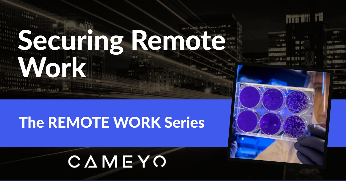 Securing Remote Work
