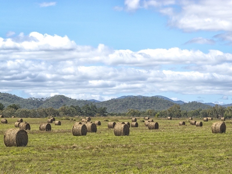 Helping keep Australia's environment healthy is possible with invoice finance.