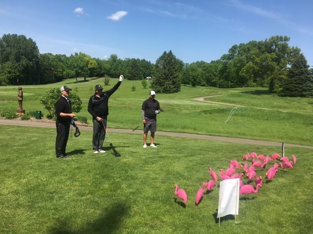2017 Lakeville Chamber Golf Tournament - APPRO turns 30 flamingo game (1).jpg