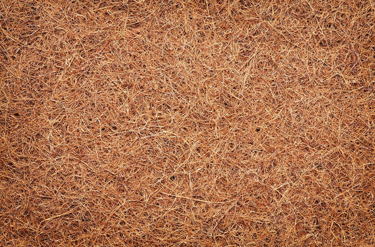 Coir Versus Straw Which Blanket is Best?