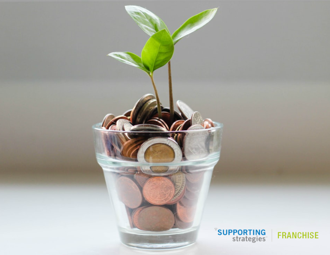 Seedlings Growing from Planter Filled with Coins | SupportingStrategiesFranchise.com