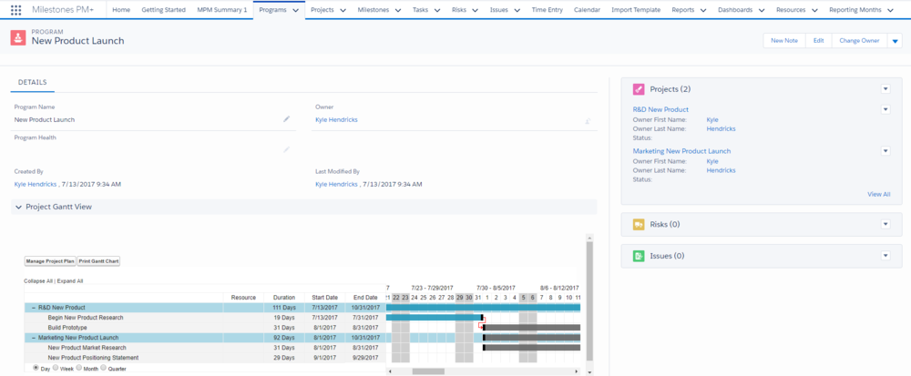 Salesforce Implementation Gantt Chart