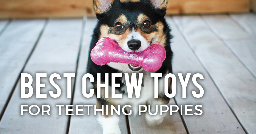 recommended chew toys for puppies