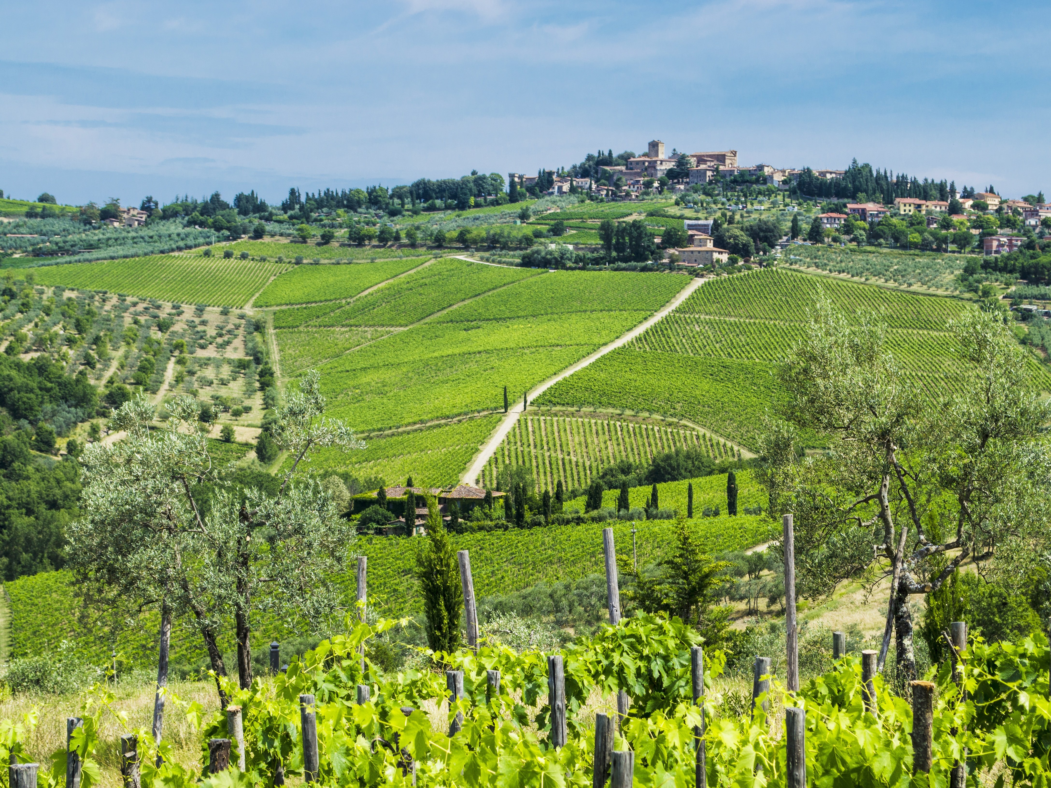 AdobeStock_87548618_Tuscany.jpg