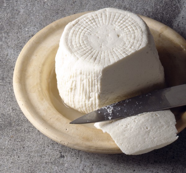 Brocciu-©Foodpictures-shutterstock-600x558.jpg