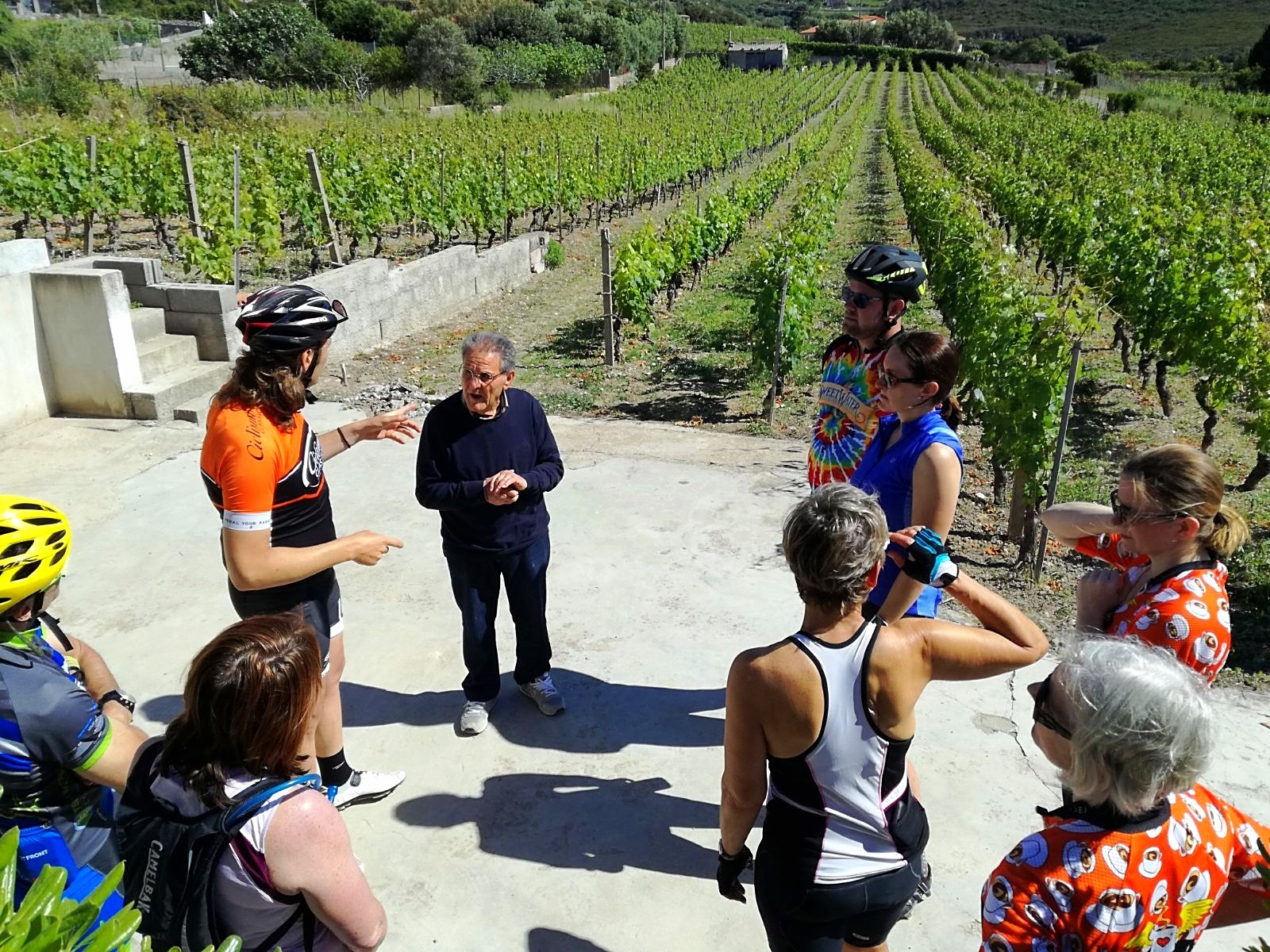 EmidioWinery_Bosa-117600-edited.jpeg