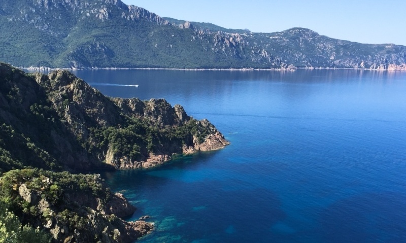 Sardinia_coast-800x479-246856-edited.jpg