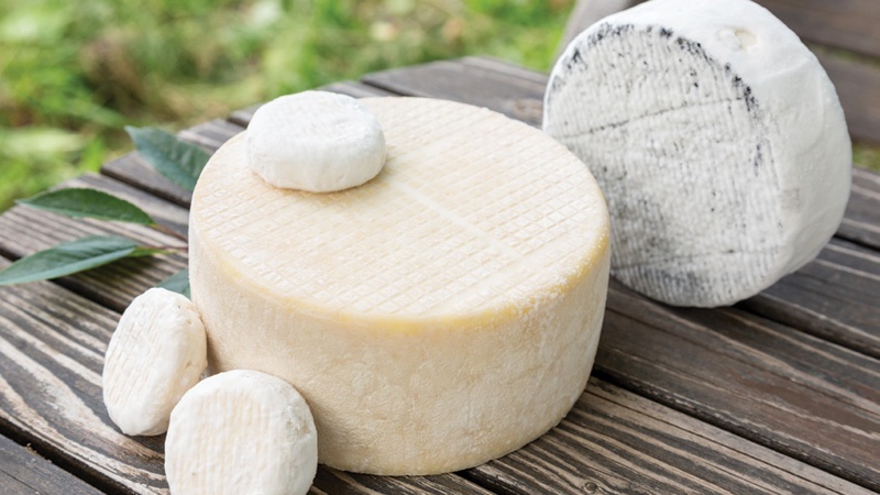 belgiumcheese.jpg