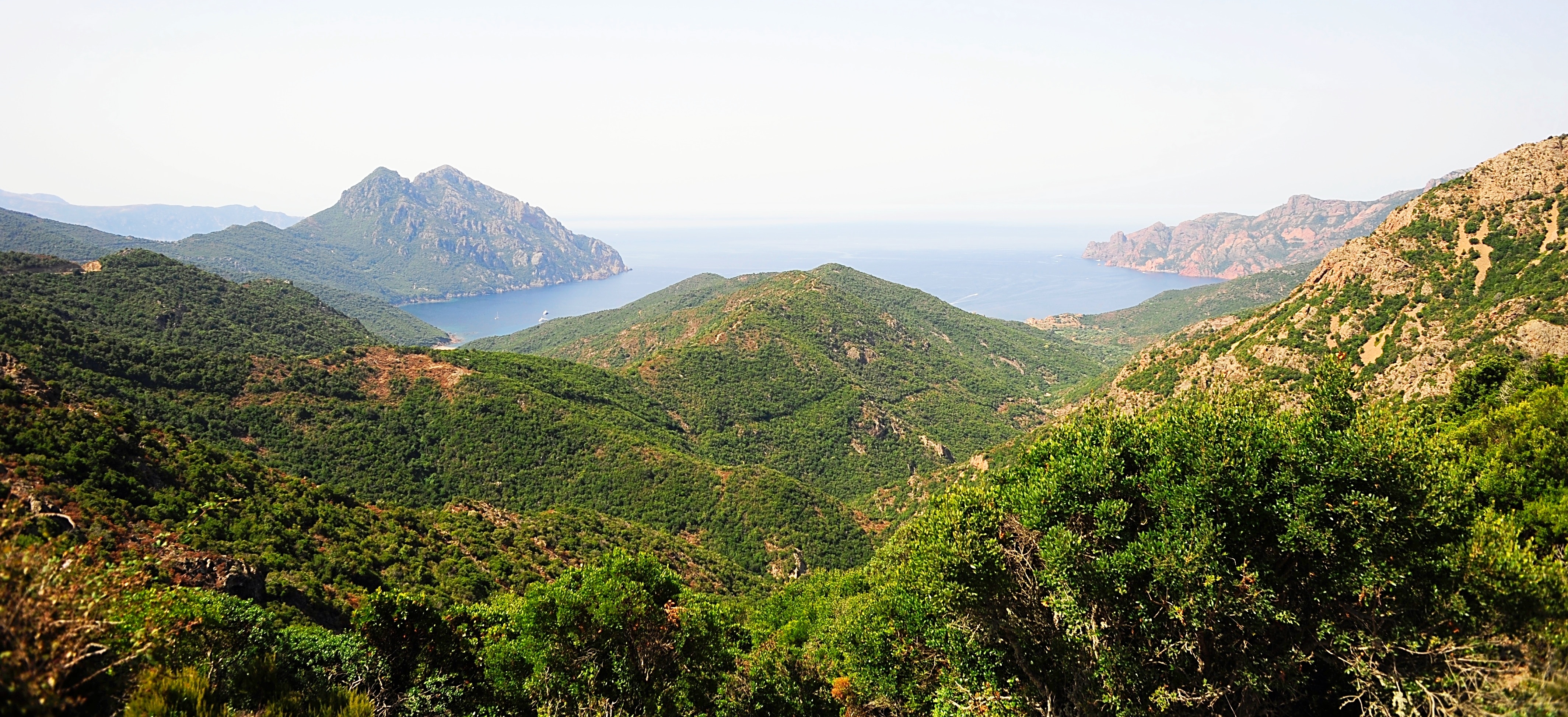 corsica-2-895477-edited.jpg