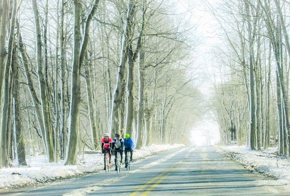 wintergroup-551602-edited.jpg wintergroup-551602-edited.jpg