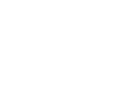big-main-logo-white-400-2