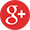 Google Icon