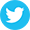Twitter Icon