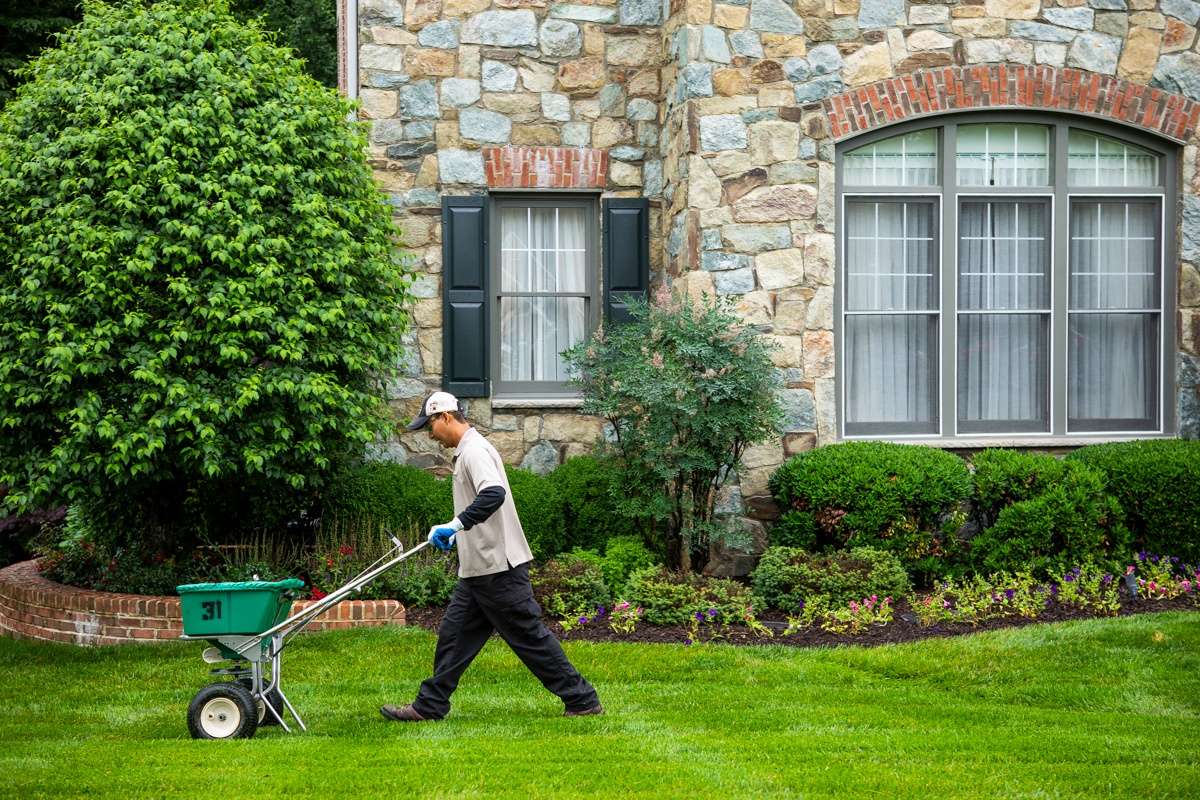 C & K Lawn Care Services Grass Cutting