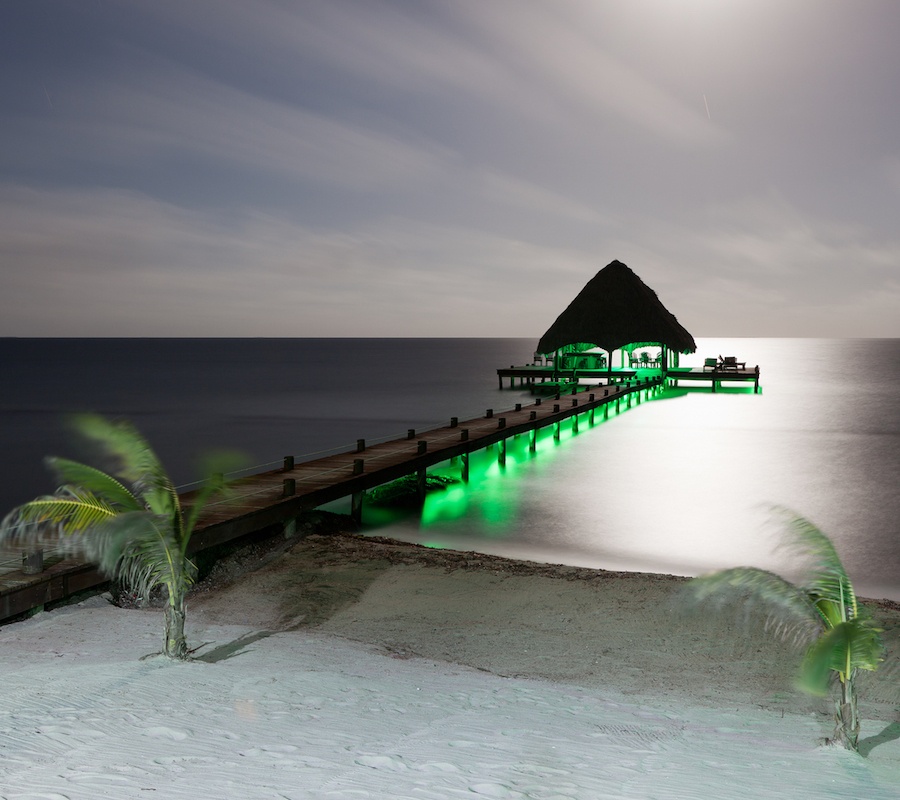 Green Underwater Dock Lights: Why the Color Green?