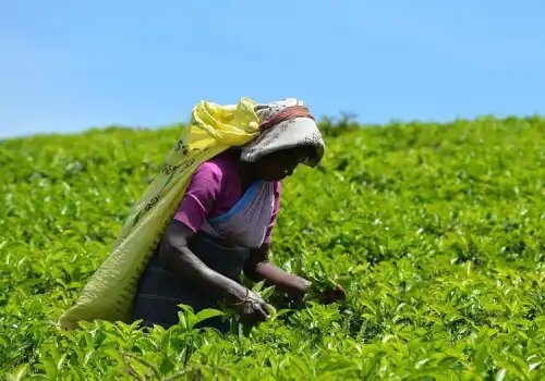 tecnología hermética