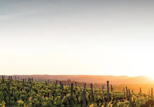 tecnología hermética