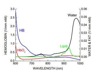 Hemoglobin and Water & Fat Absorptivity by Wavelength