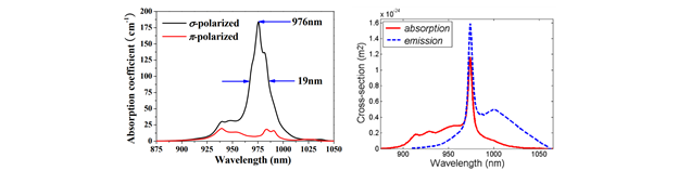 Er and Yt Absorption Spectra