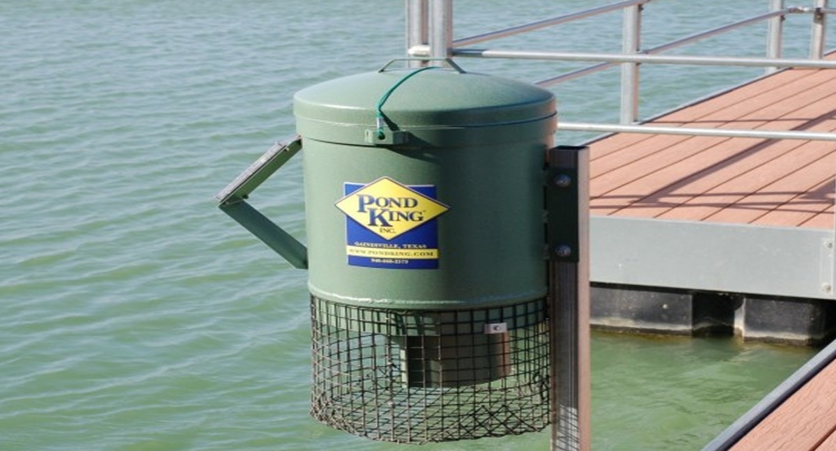 The Best Fish Feeders For Ponds And Lakes Made By Pond King