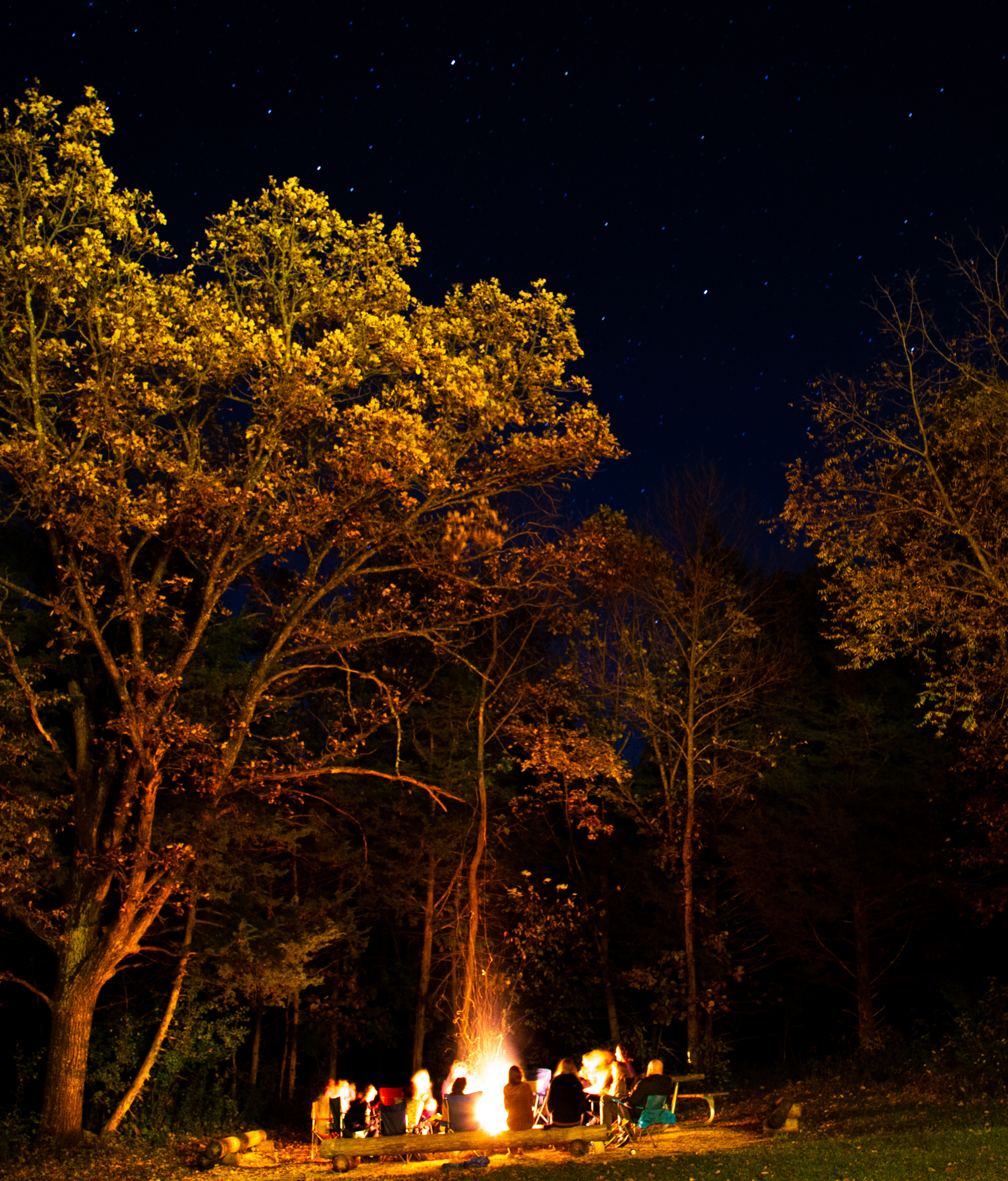 Long exposure teamnight sky