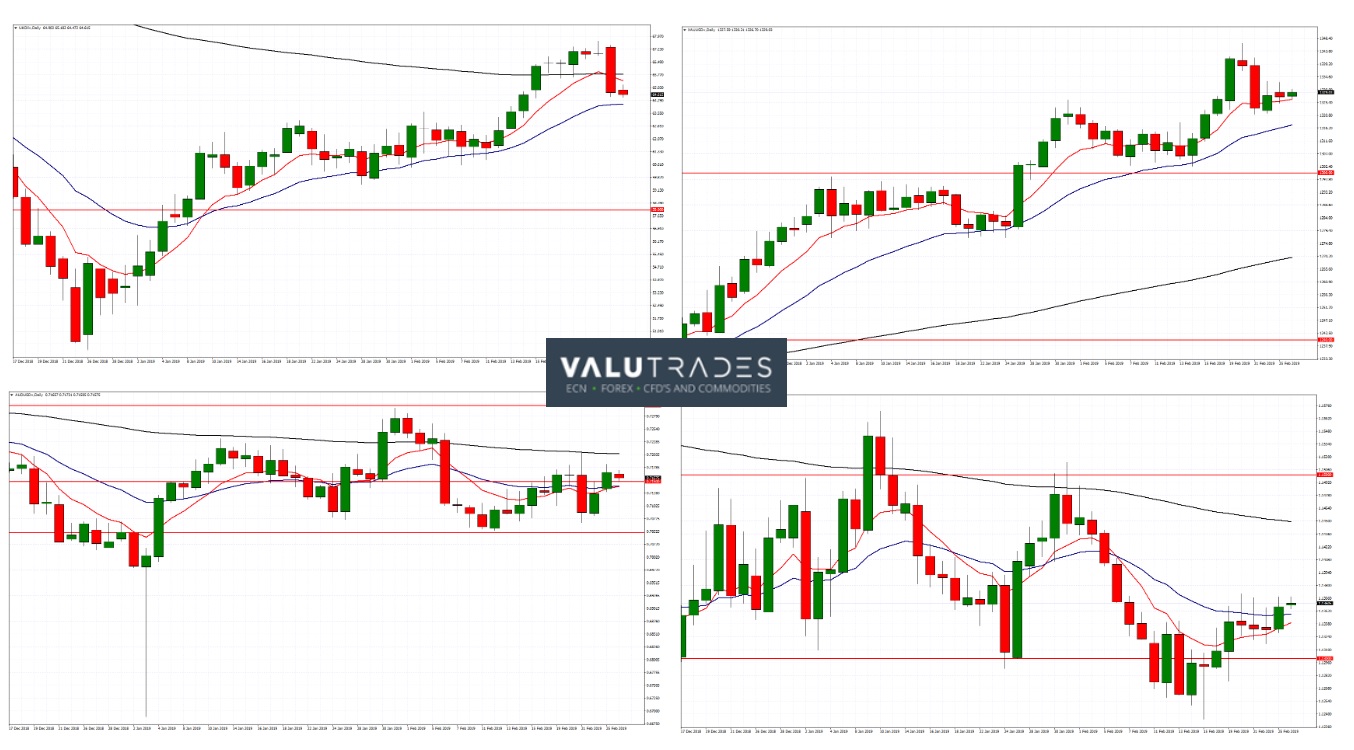 Market Wrap February 2019 - 