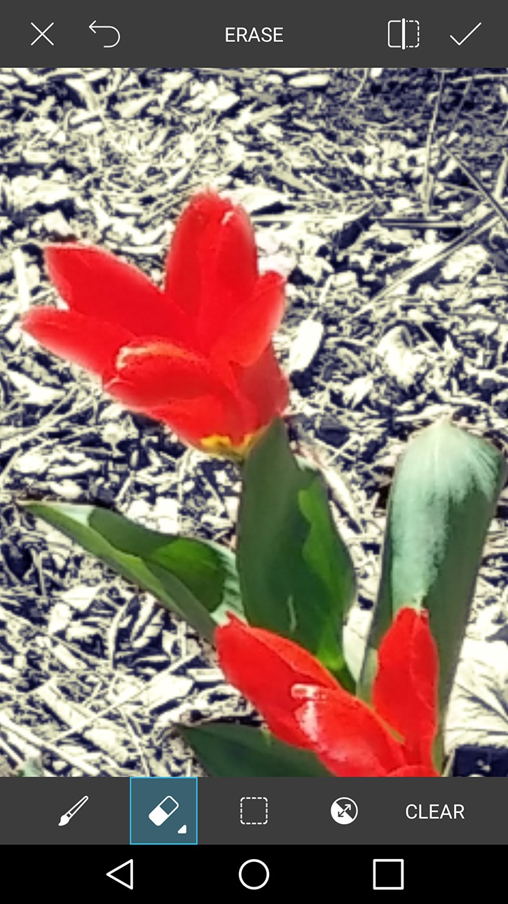 easter-3d-photo-b-w-erasing-back-color-on-flowers.jpg