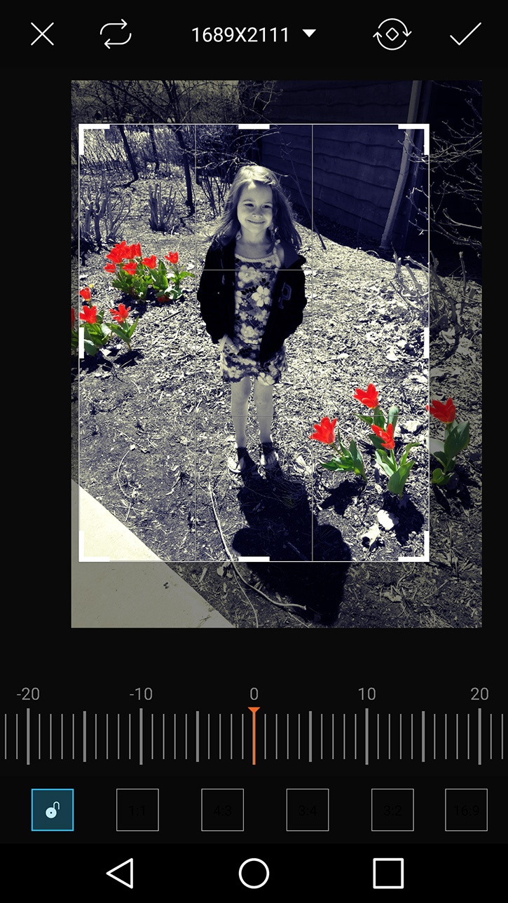 easter-3d-photo-resizing-edited-photo.jpg